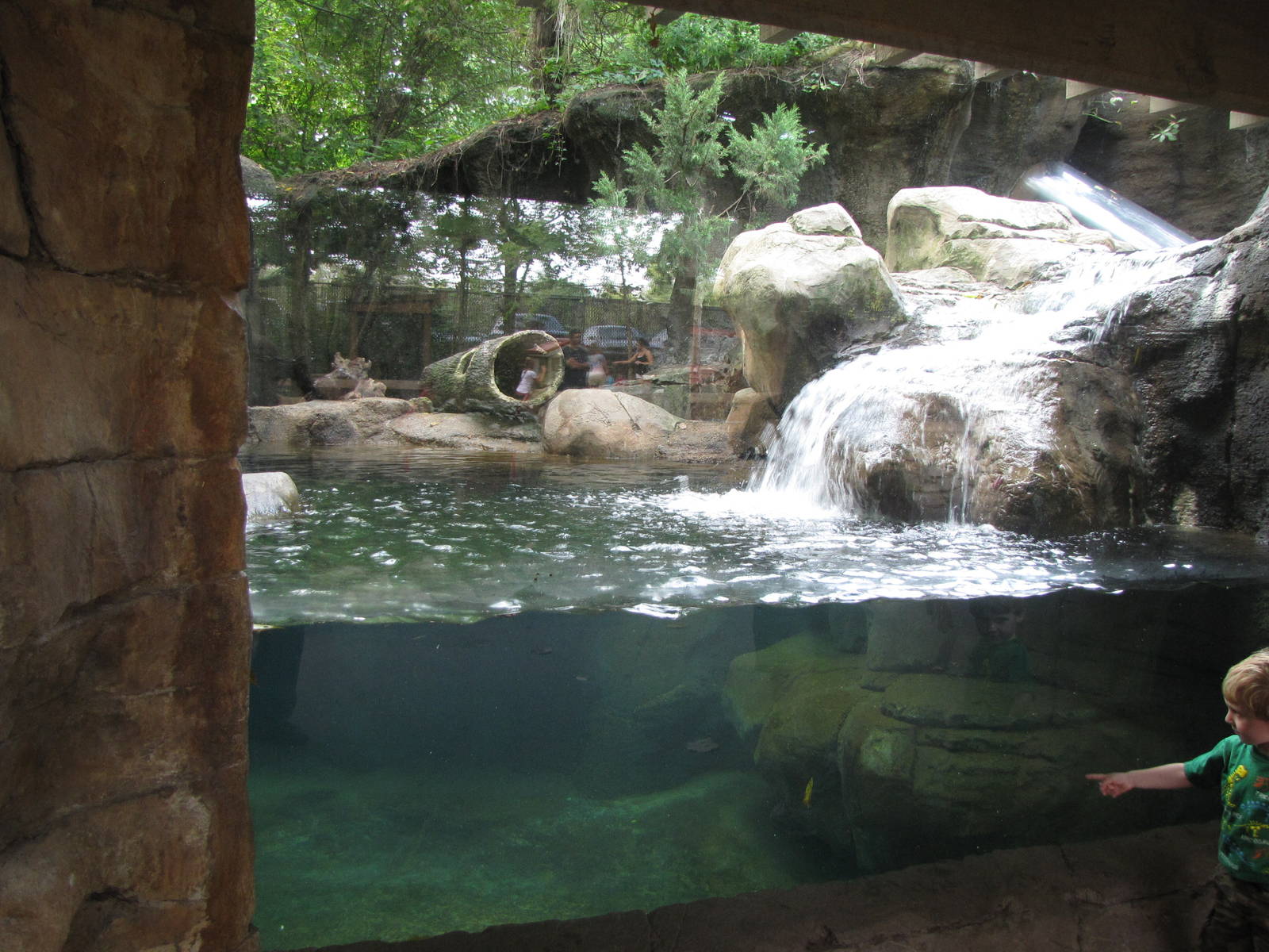 Otter Exhibit - Children's Zoo