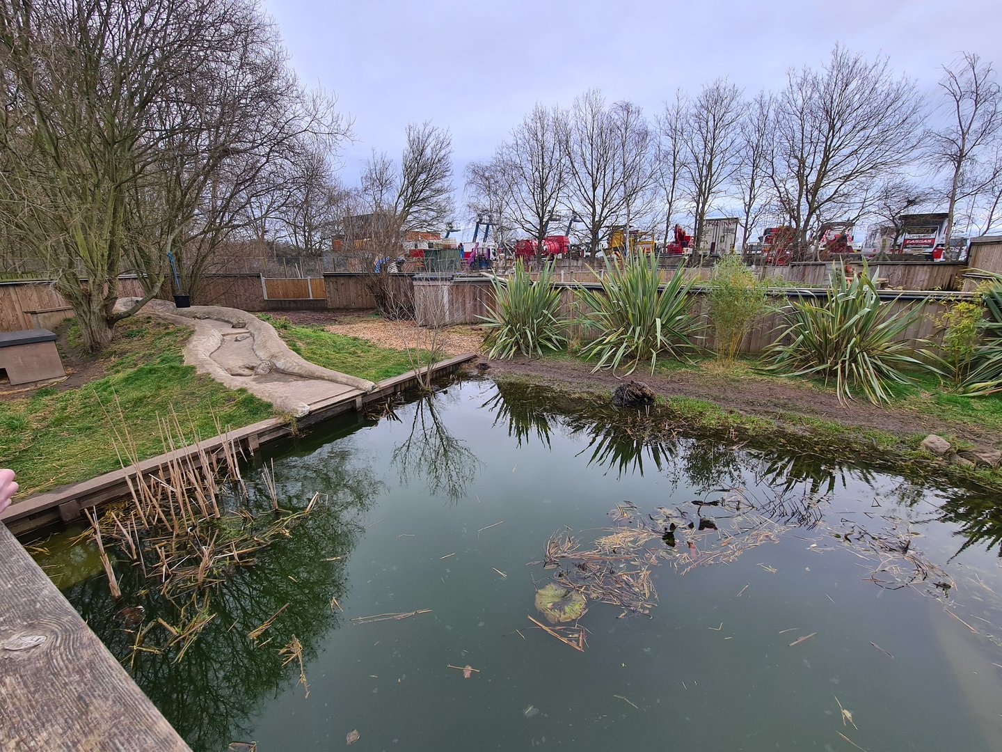 Otter Exhibit, Fenn Bell