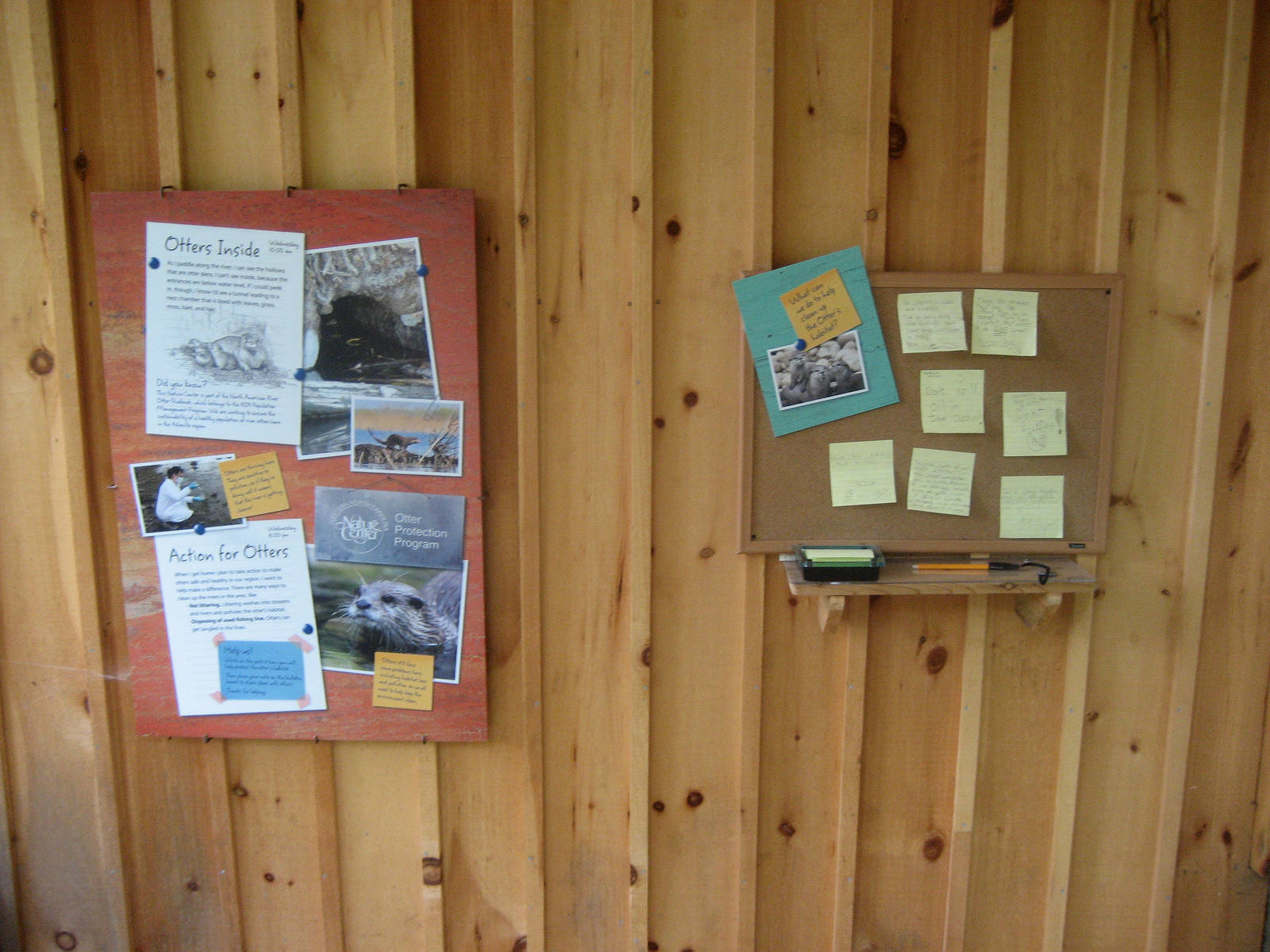 Otter exhibit take action station