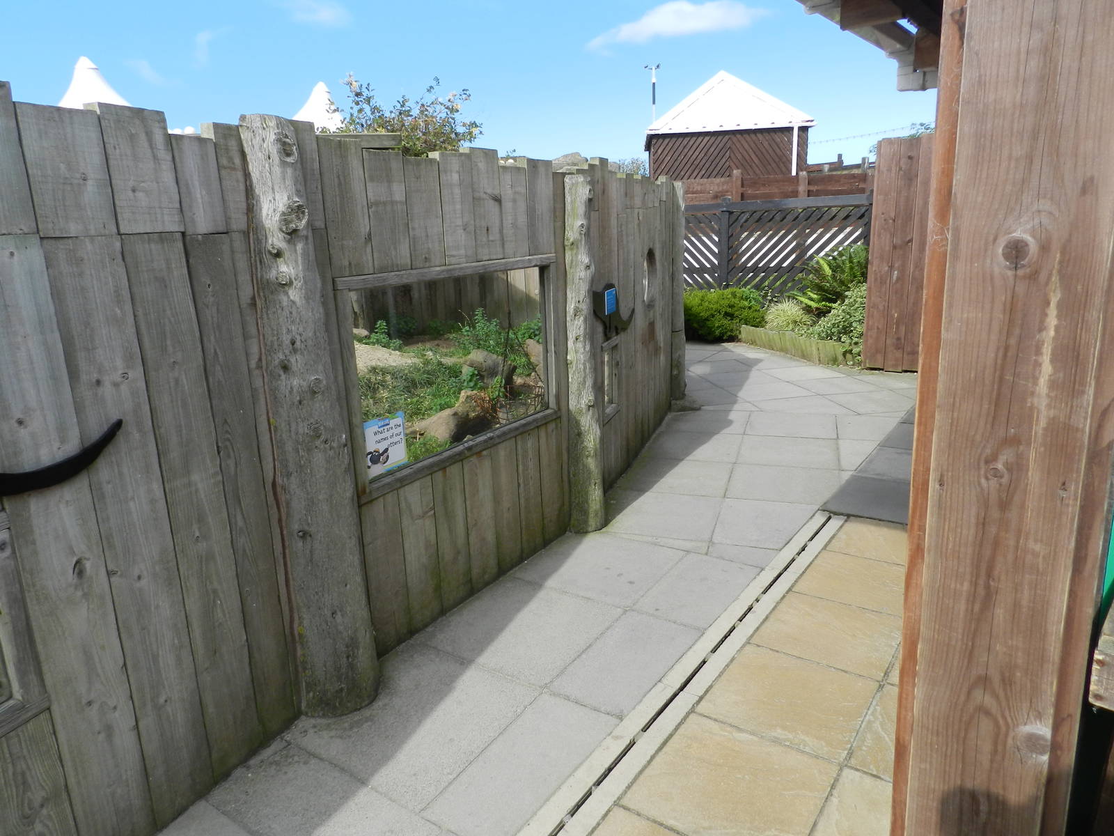 Otter Exhibit Viewing Windows at SEA LIFE Scarborough - 26/08/2012