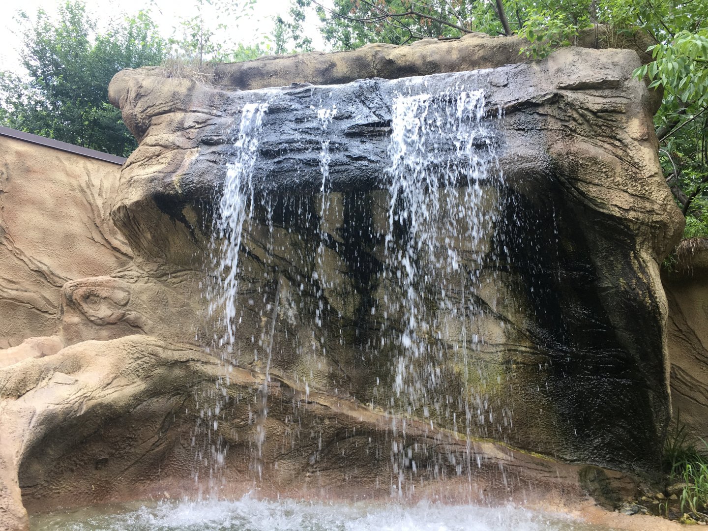 Otter exhibit waterfall