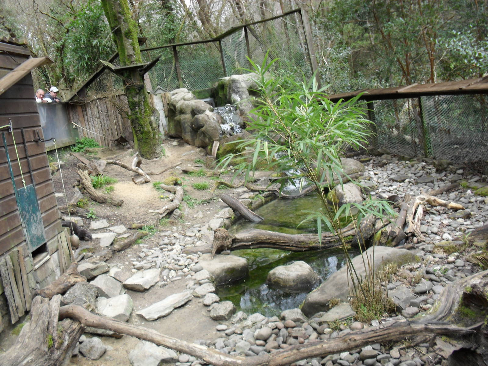Otter Exhibit