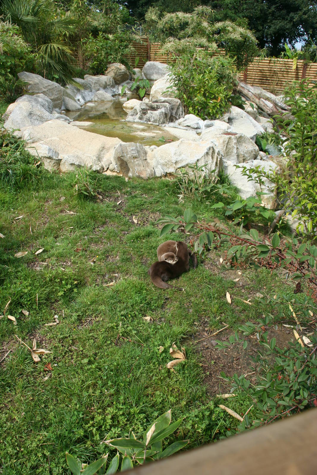 otter exhibit