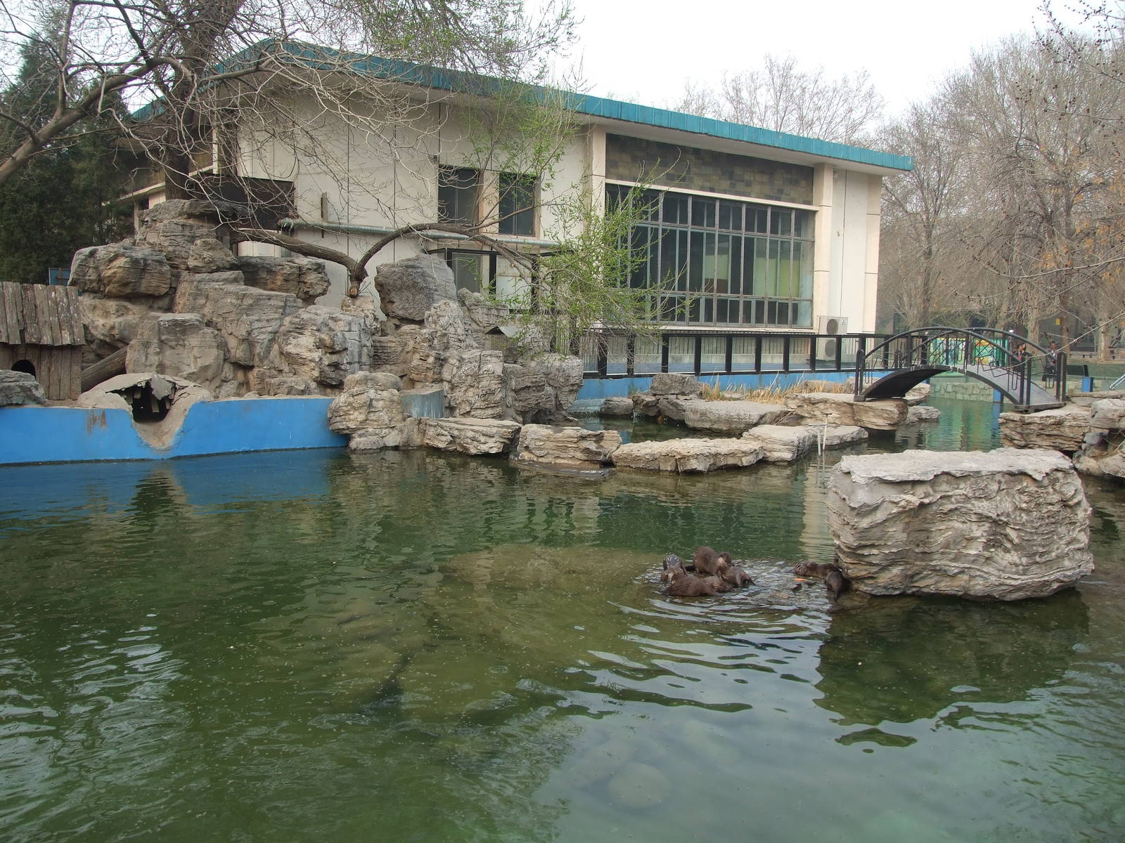 otter exhibit