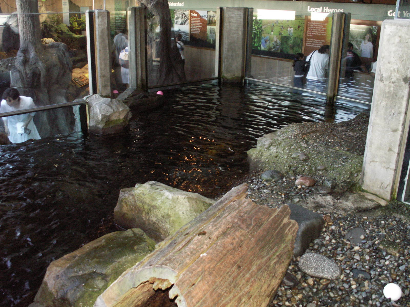 otter exhibit