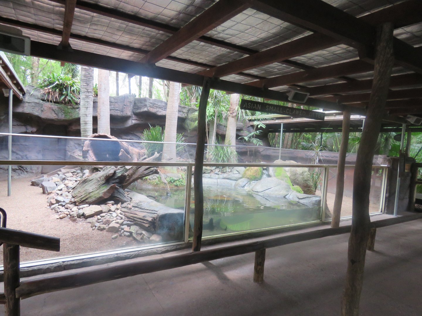 Otter Exhibit