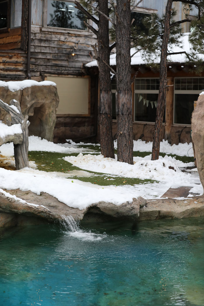 otter exhibit