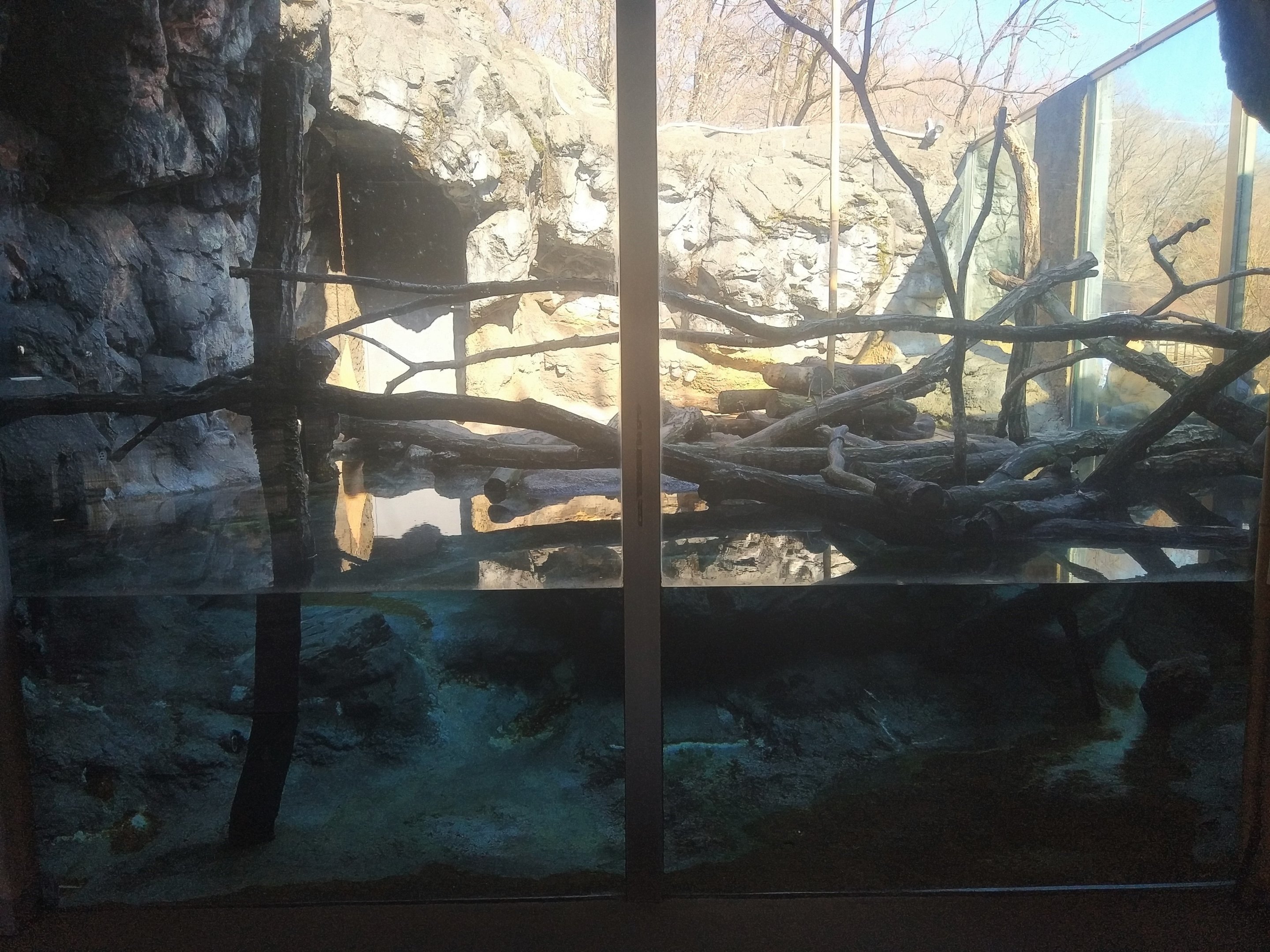 Otter Exhibit