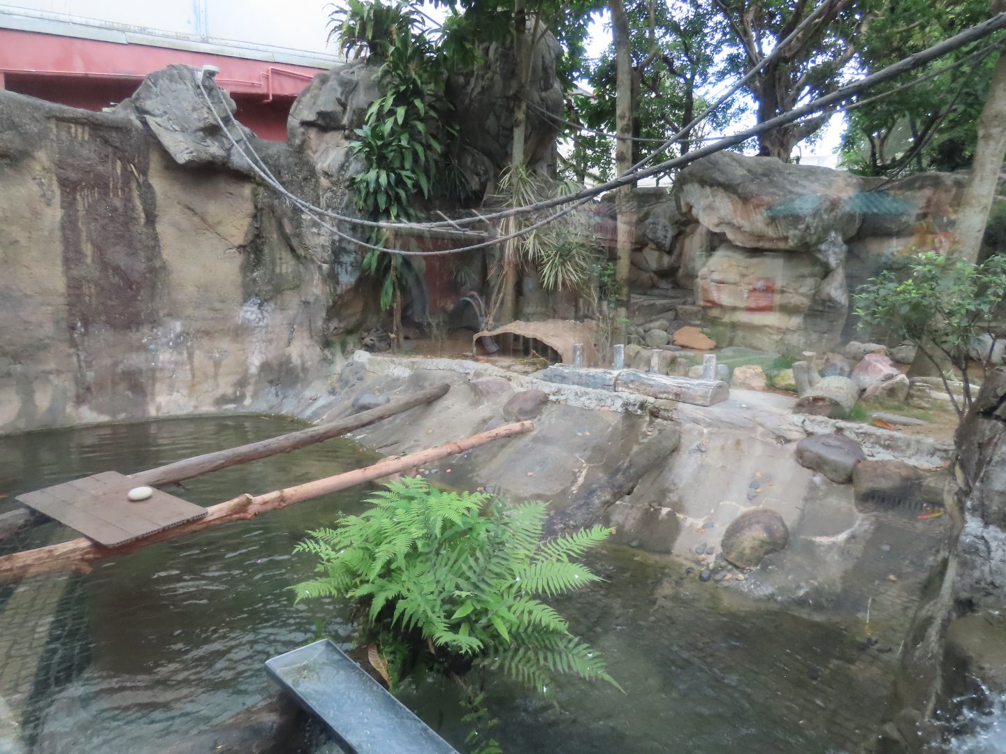 Otter exhibit