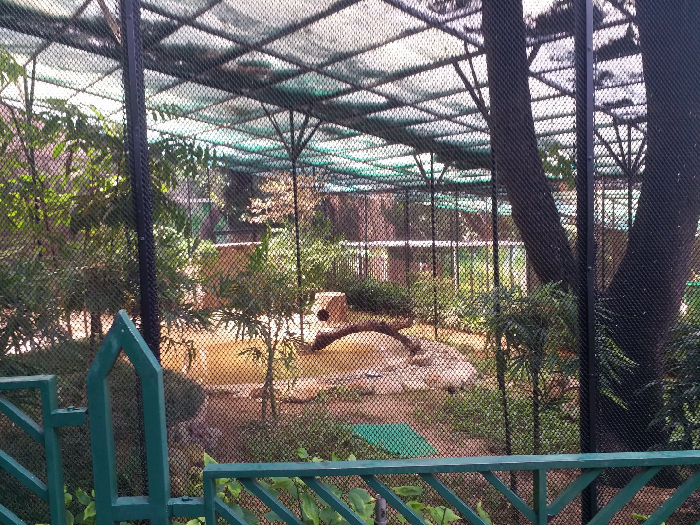 Otter exhibit