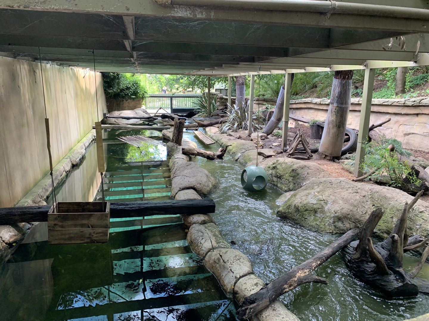 Otter Exhibit