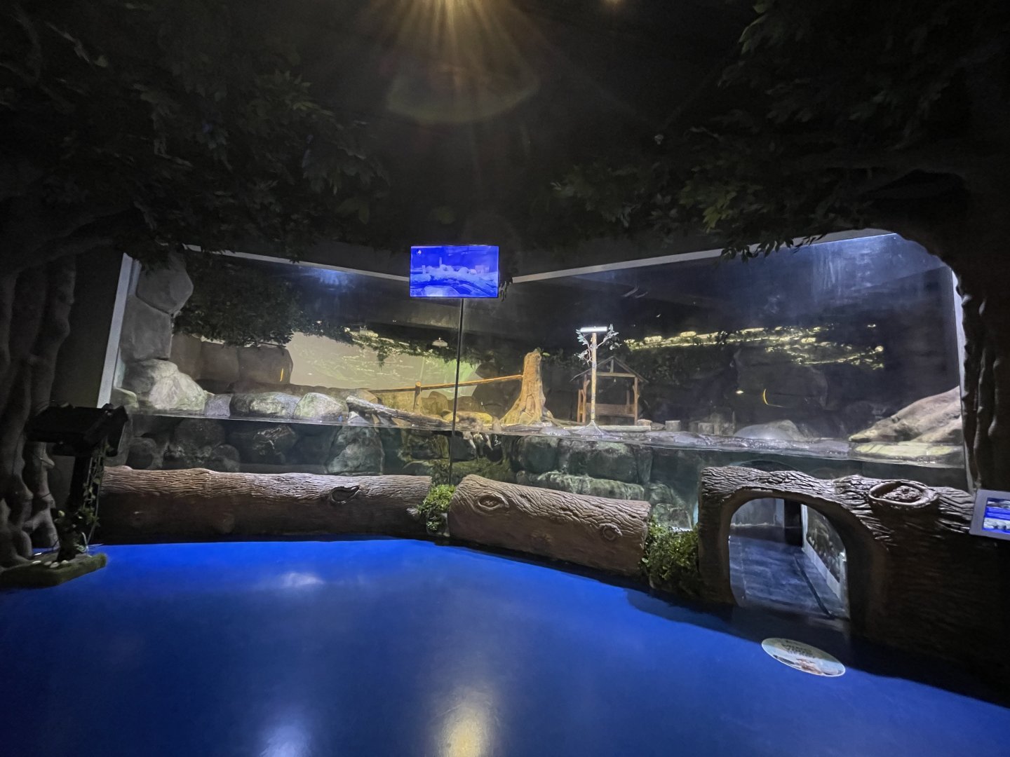 otter exhibit