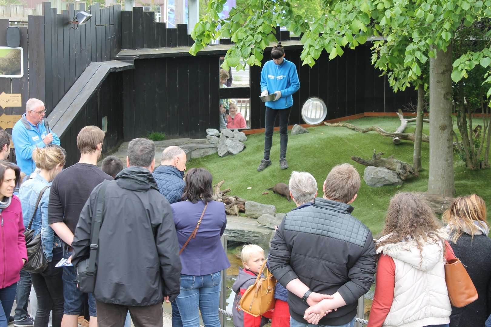 Otter-feeding presentation