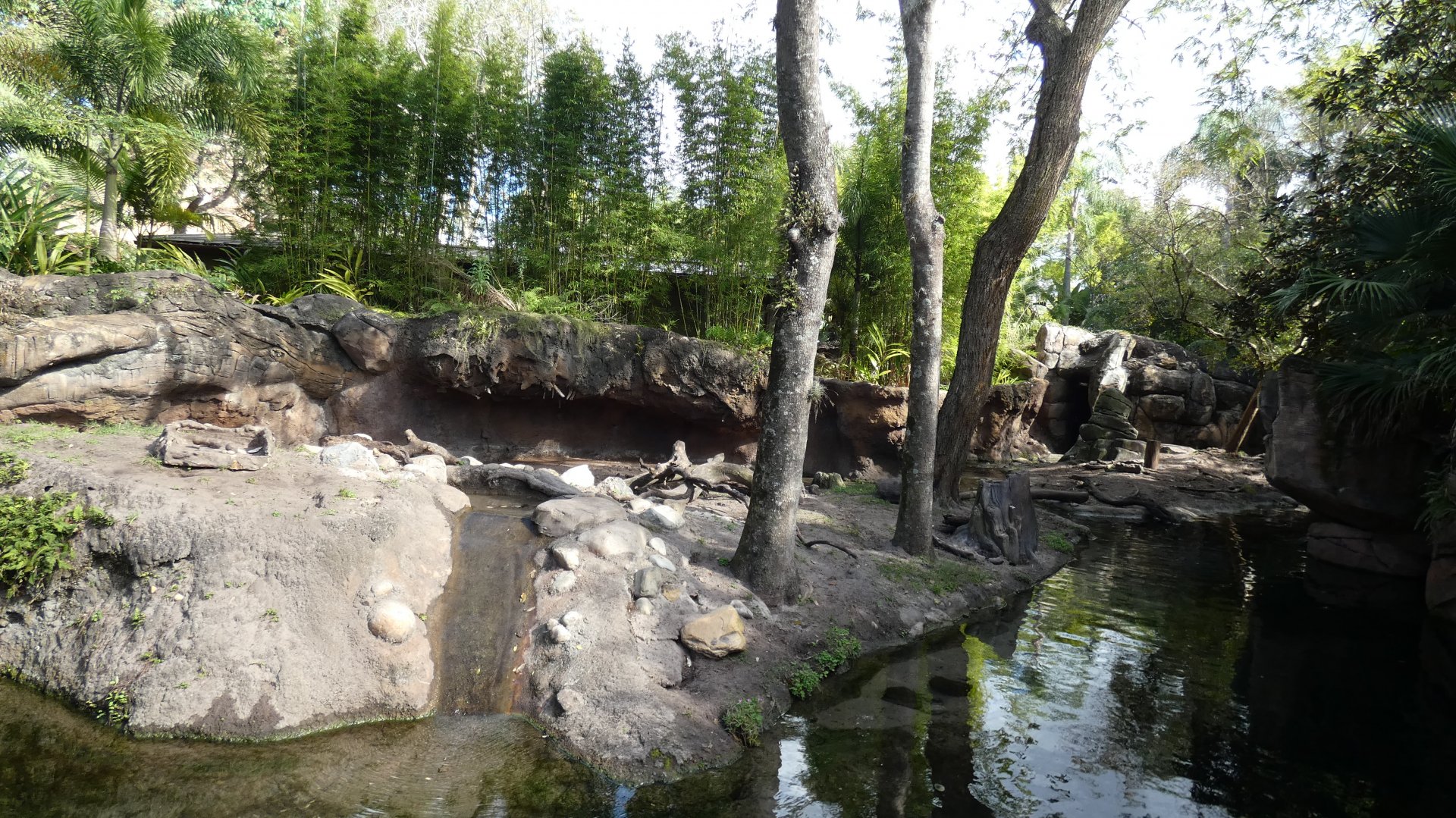 Otter Grotto, Discovery Island Trails - Jan. 2022