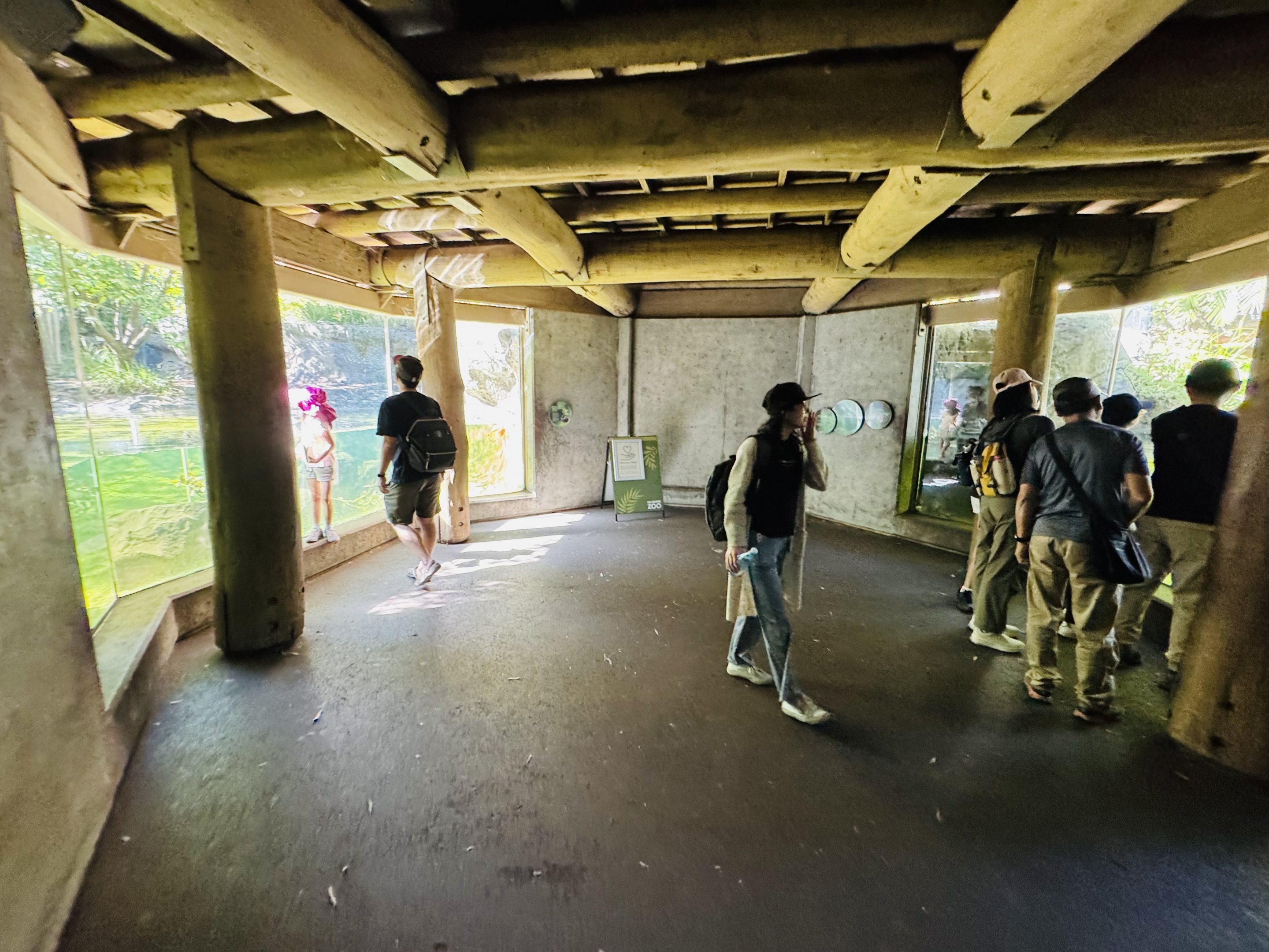 Otter/hippo underwater viewing area