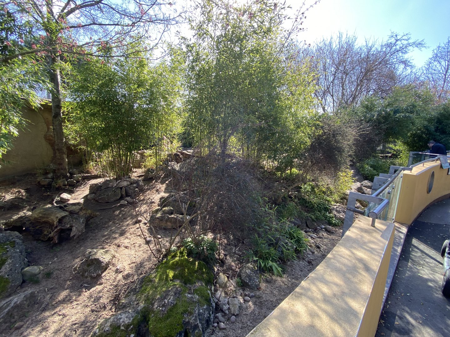 Otter Holt - Asian small-clawed otter enclosure 180322