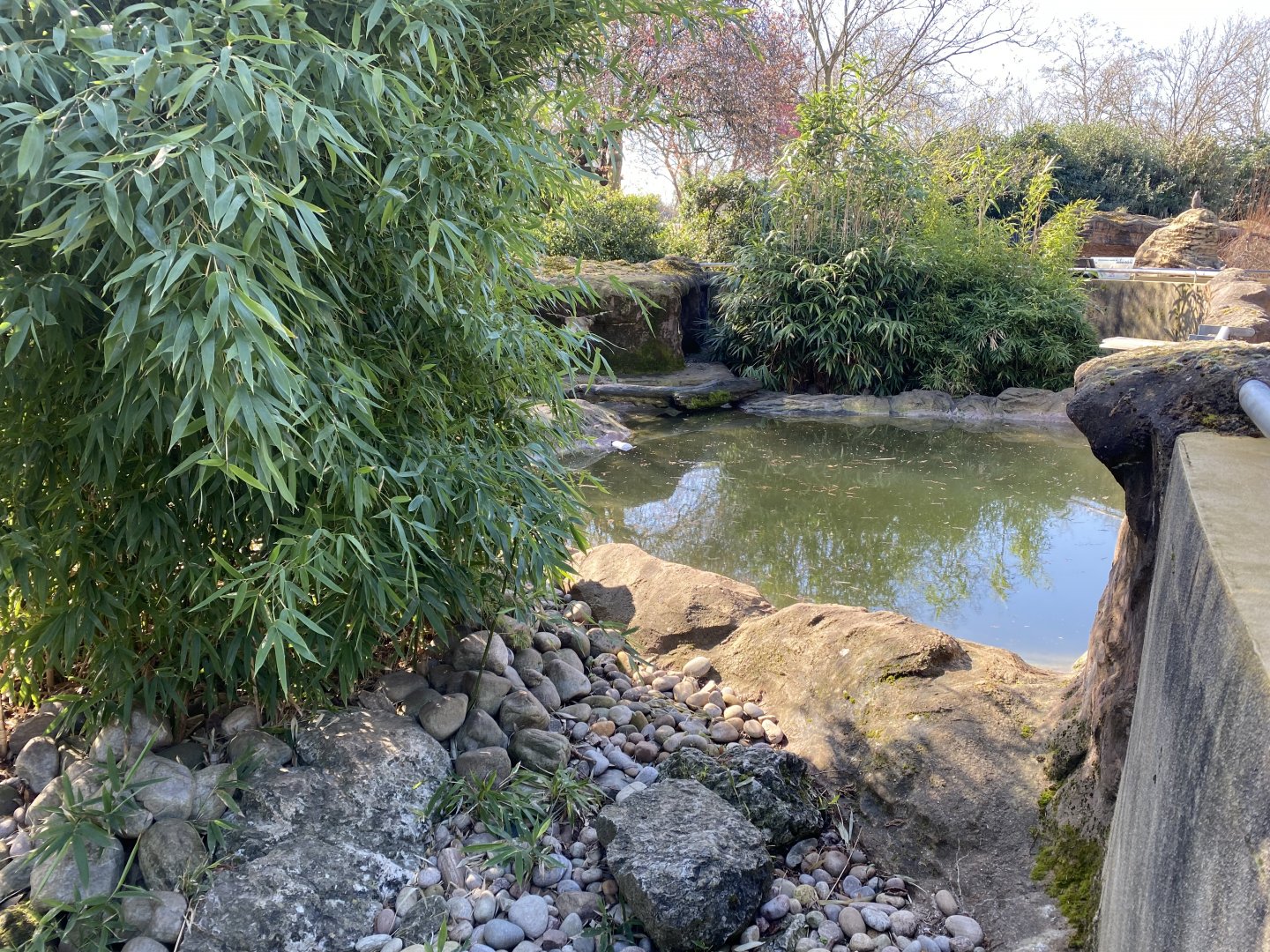 Otter Holt - Asian small-clawed otter enclosure 180322