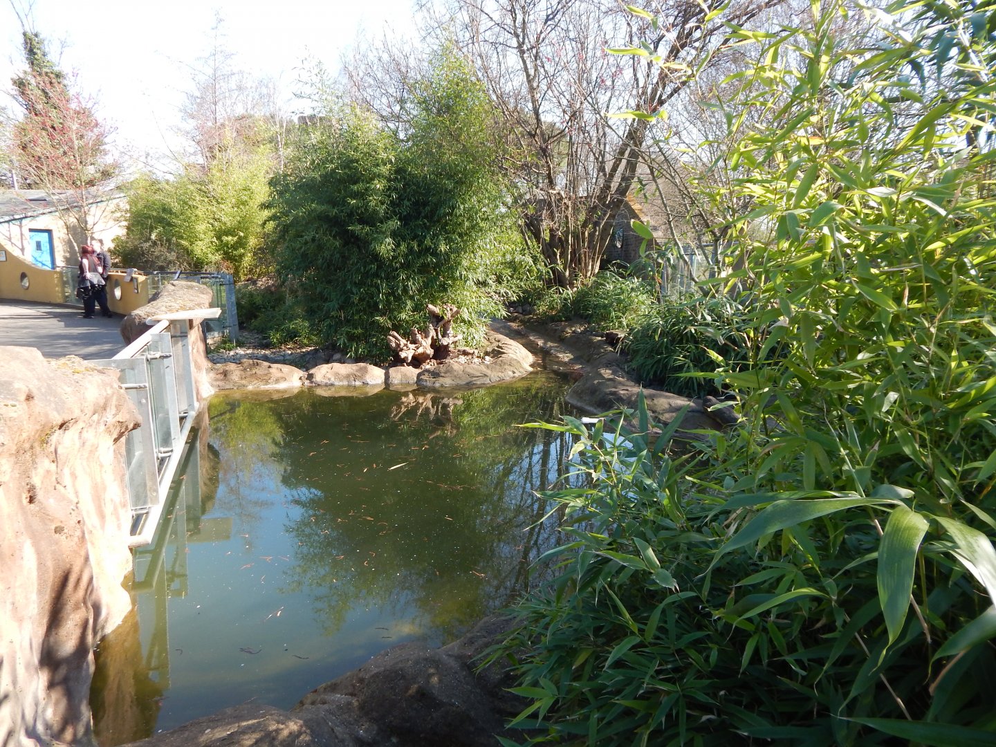 Otter Holt - Asian small-clawed otter enclosure 180322