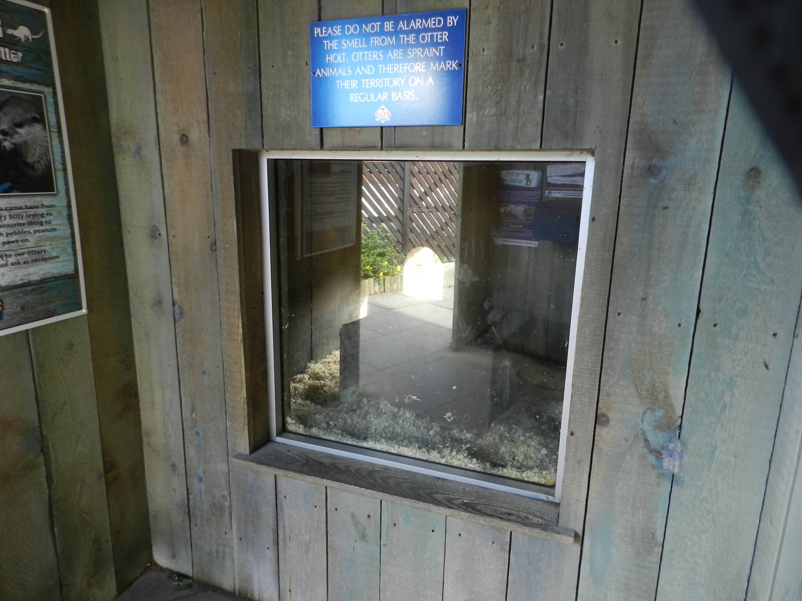 Otter Holt at SEA LIFE Scarborough - 26/08/2012