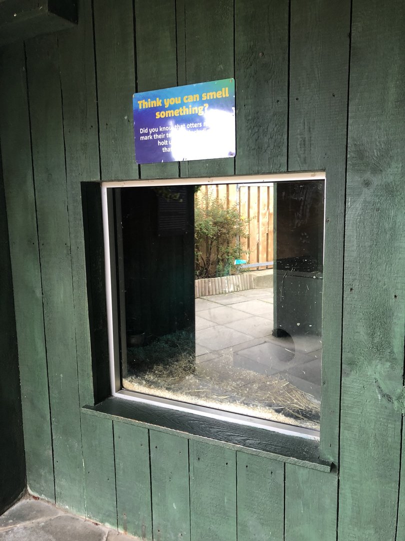 Otter Indoor Enclosure at SEA LIFE Scarborough (September 2022)
