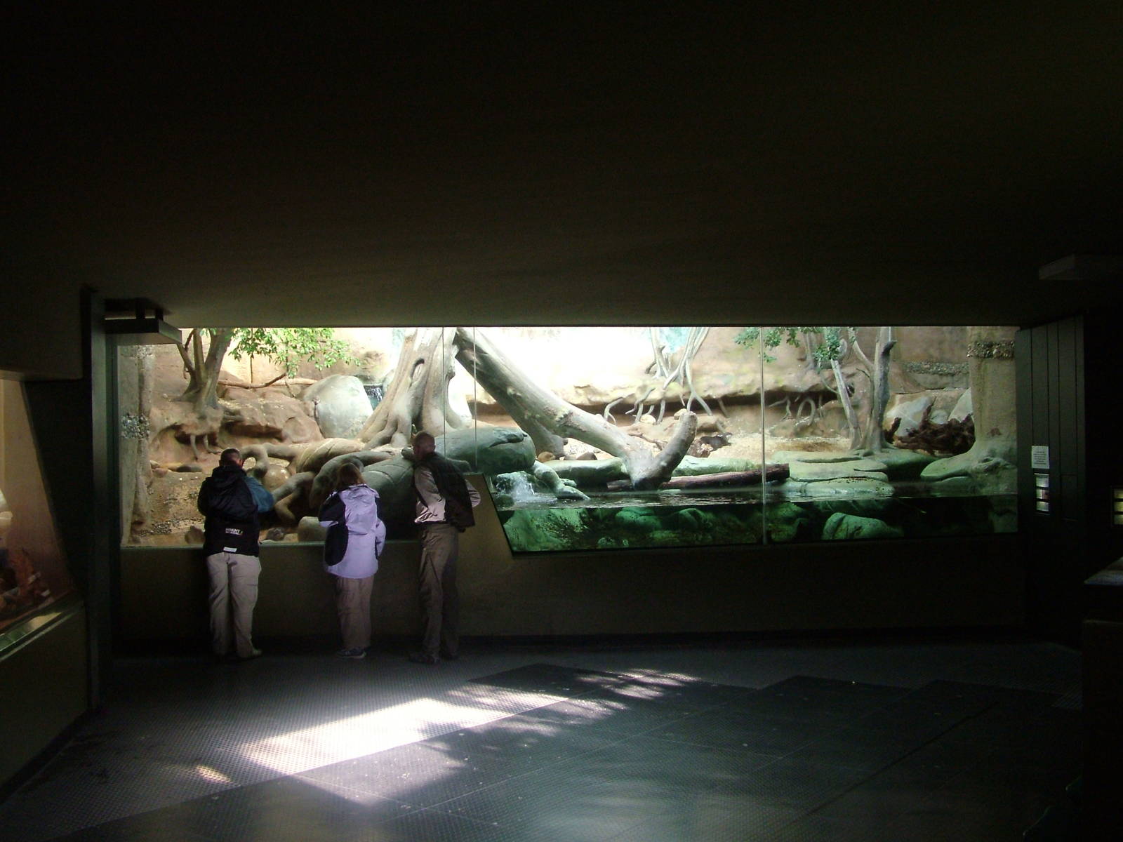 Otter Indoor Exhibit at Frankfurt 31/08/10