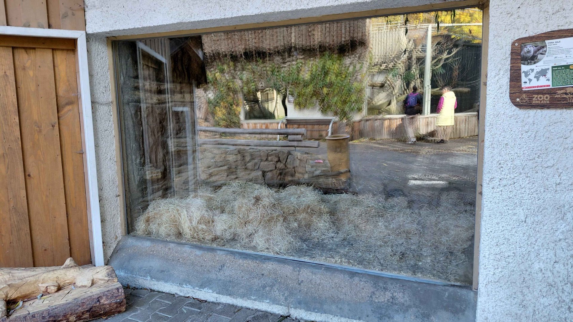 Otter indoor exhibit