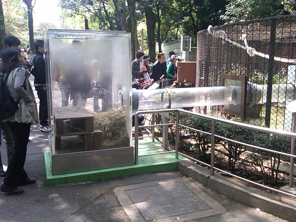 Otter, Japanese Badger and Civet mixed exhibit