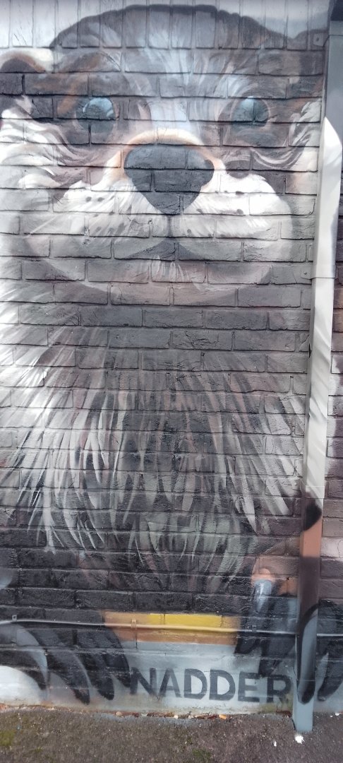 Otter Mural