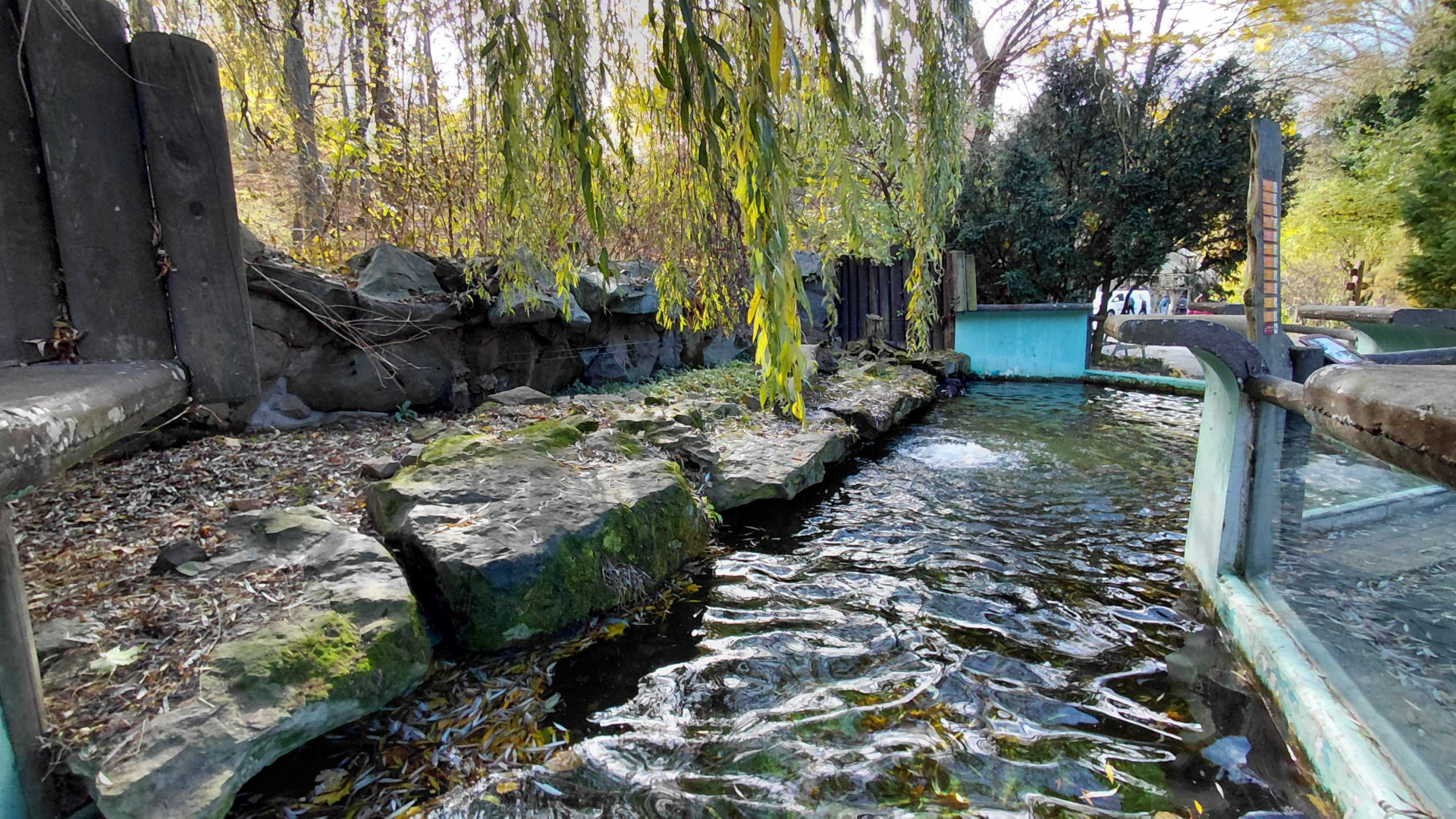 Otter outdoor exhibit