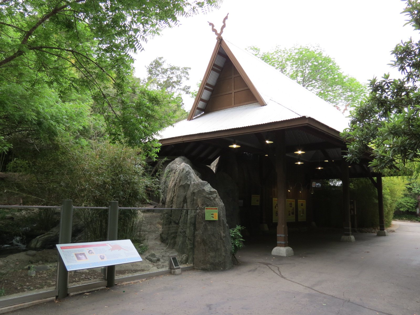 Otter Outpost - Asian Small-clawed Otter Exhibit