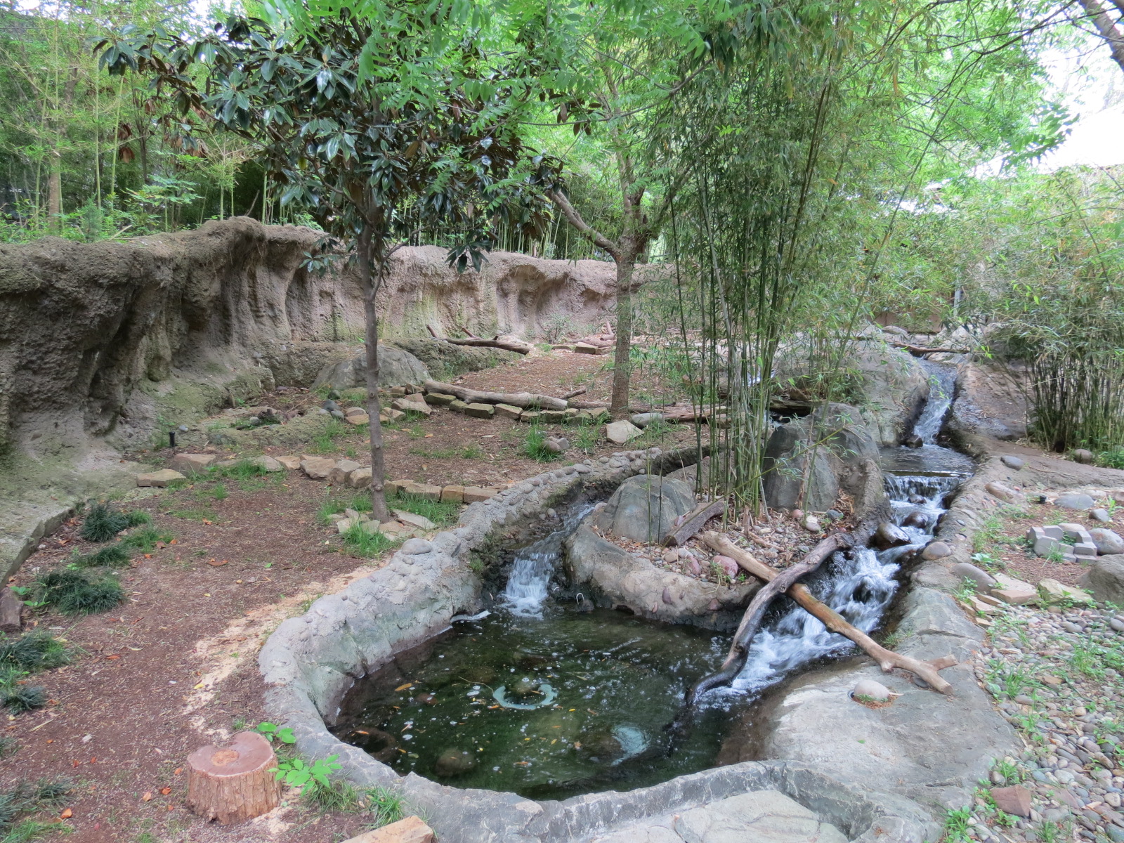 Otter Outpost - Asian Small-clawed Otter Exhibit