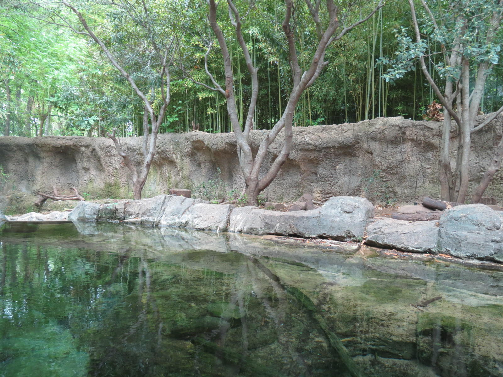 Otter Outpost - Asian Small-clawed Otter Exhibit