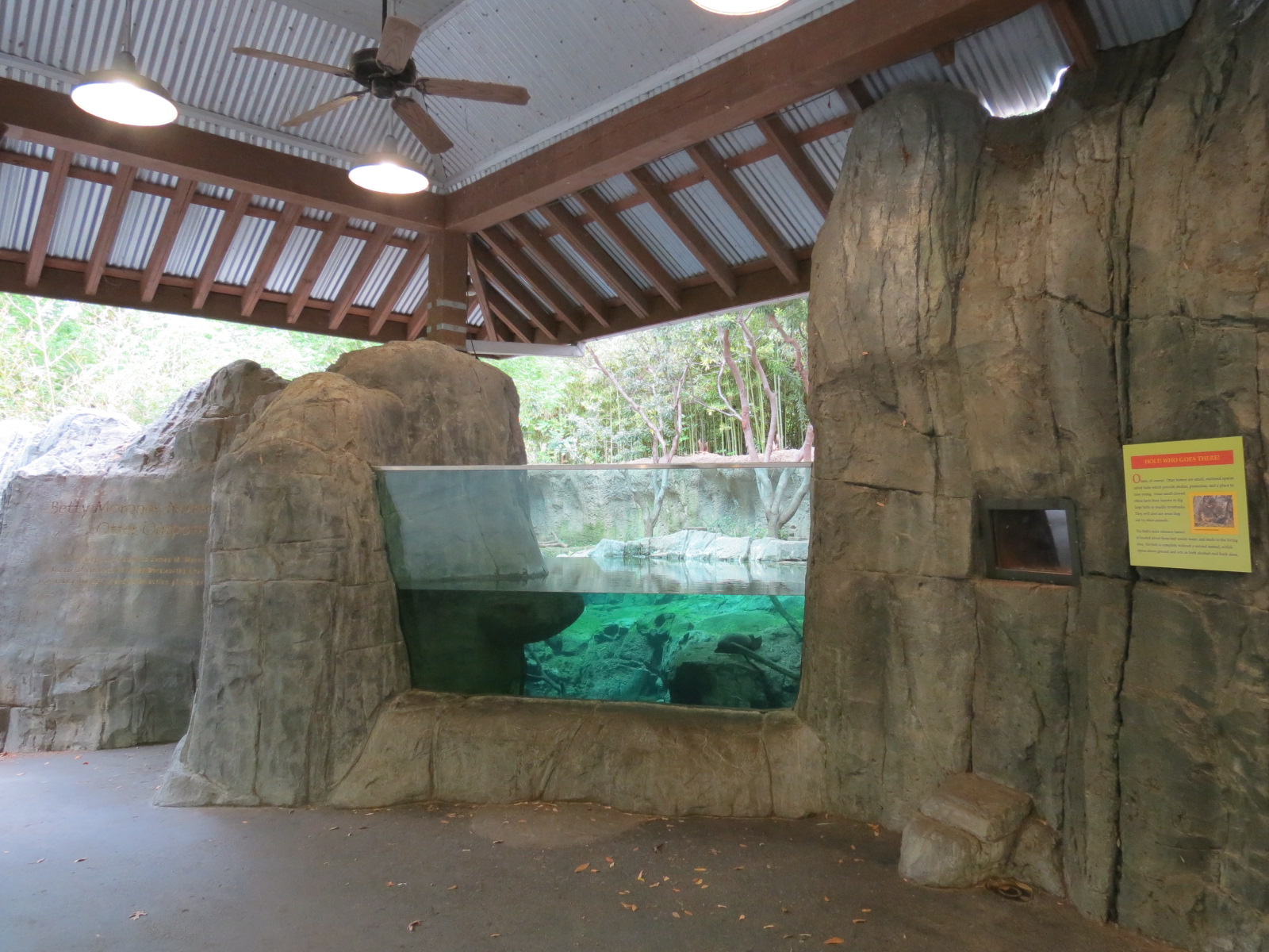 Otter Outpost - Asian Small-clawed Otter Exhibit