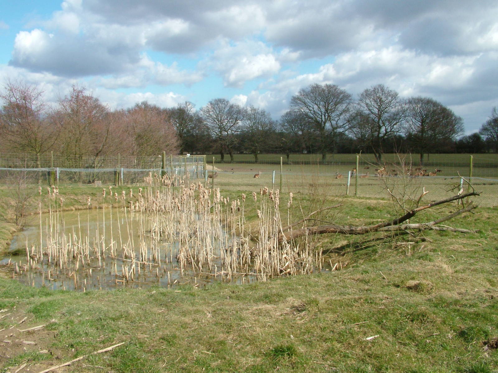 Otter pool and deer park at the British Wildlife Centre 14/03/10