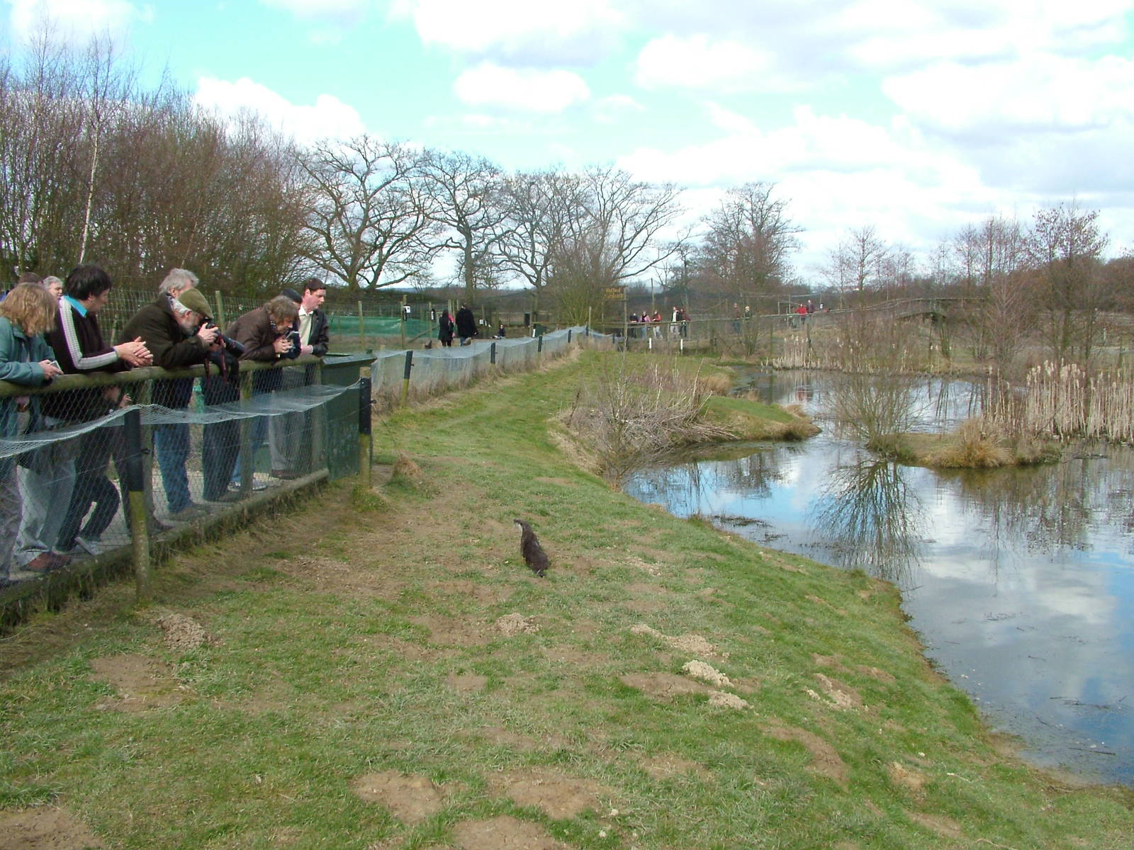 Otter pool at the British Wildlife Centre 14/03/10
