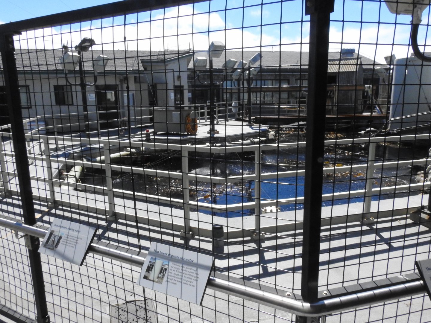 Otter Restoration Habitat