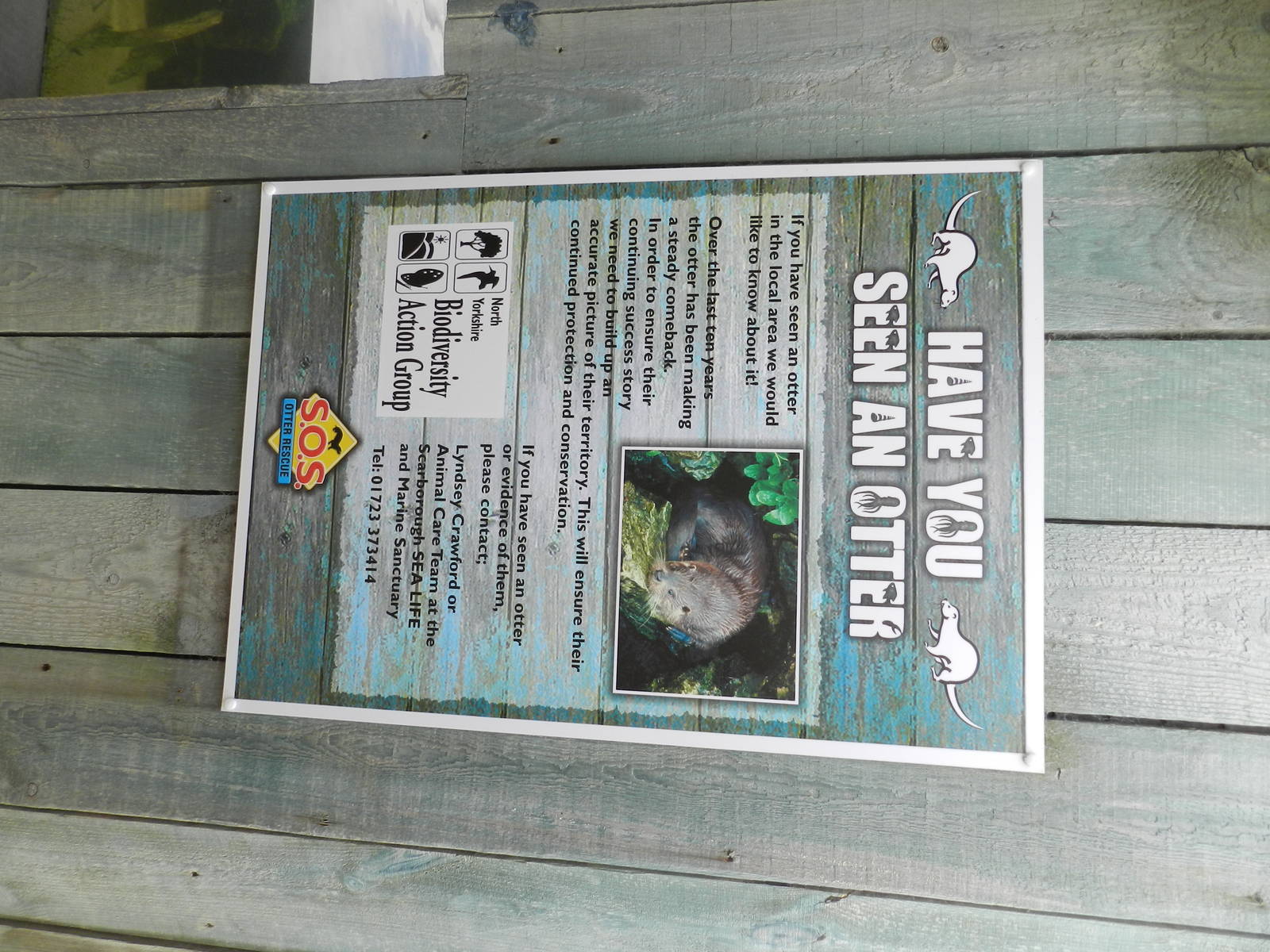 Otter Signage at SEA LIFE Scarborough - 26/08/2012