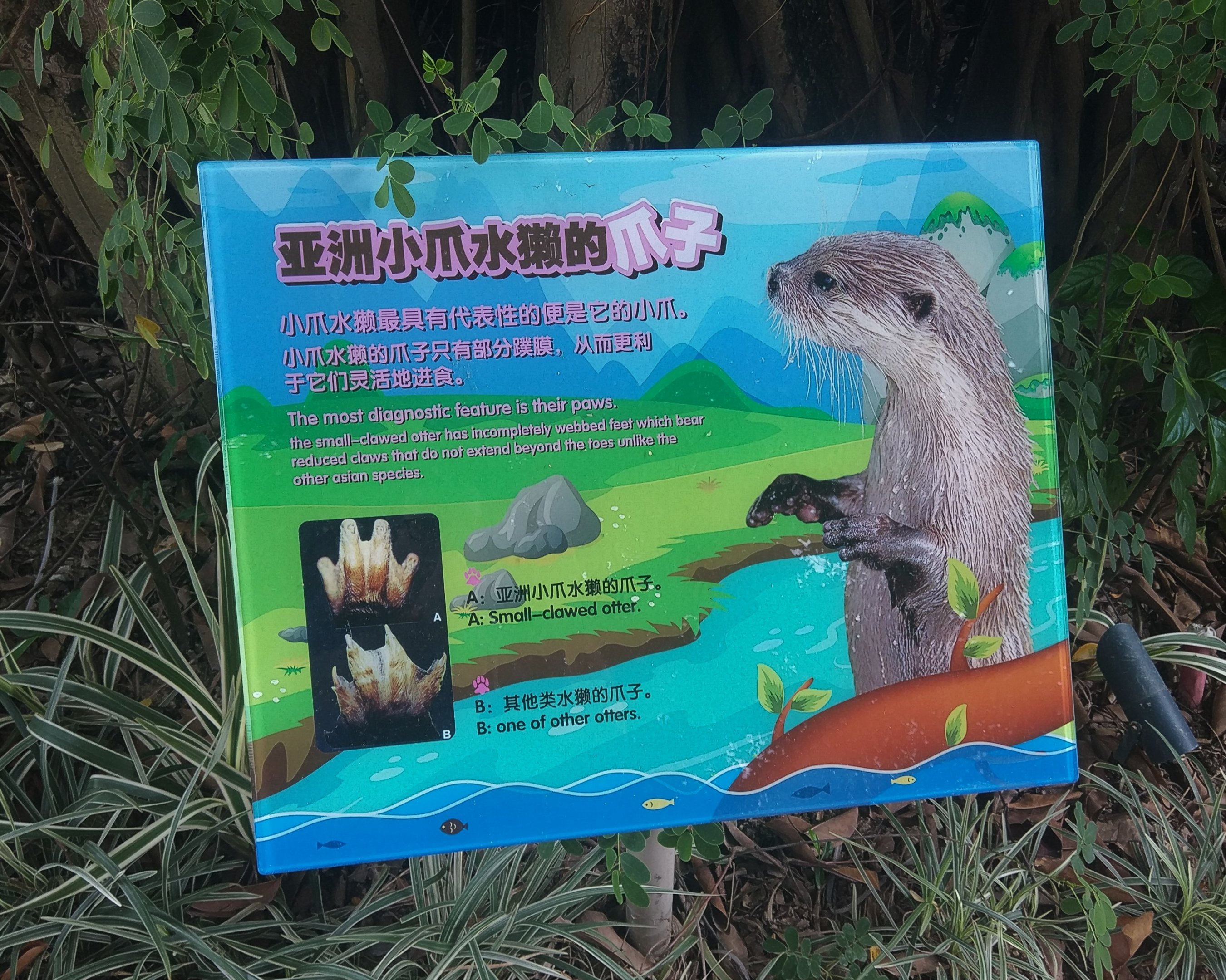 Otter Signage