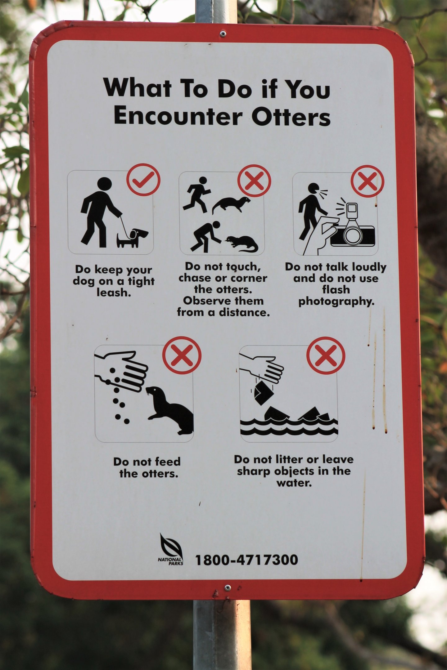 Otter Signage