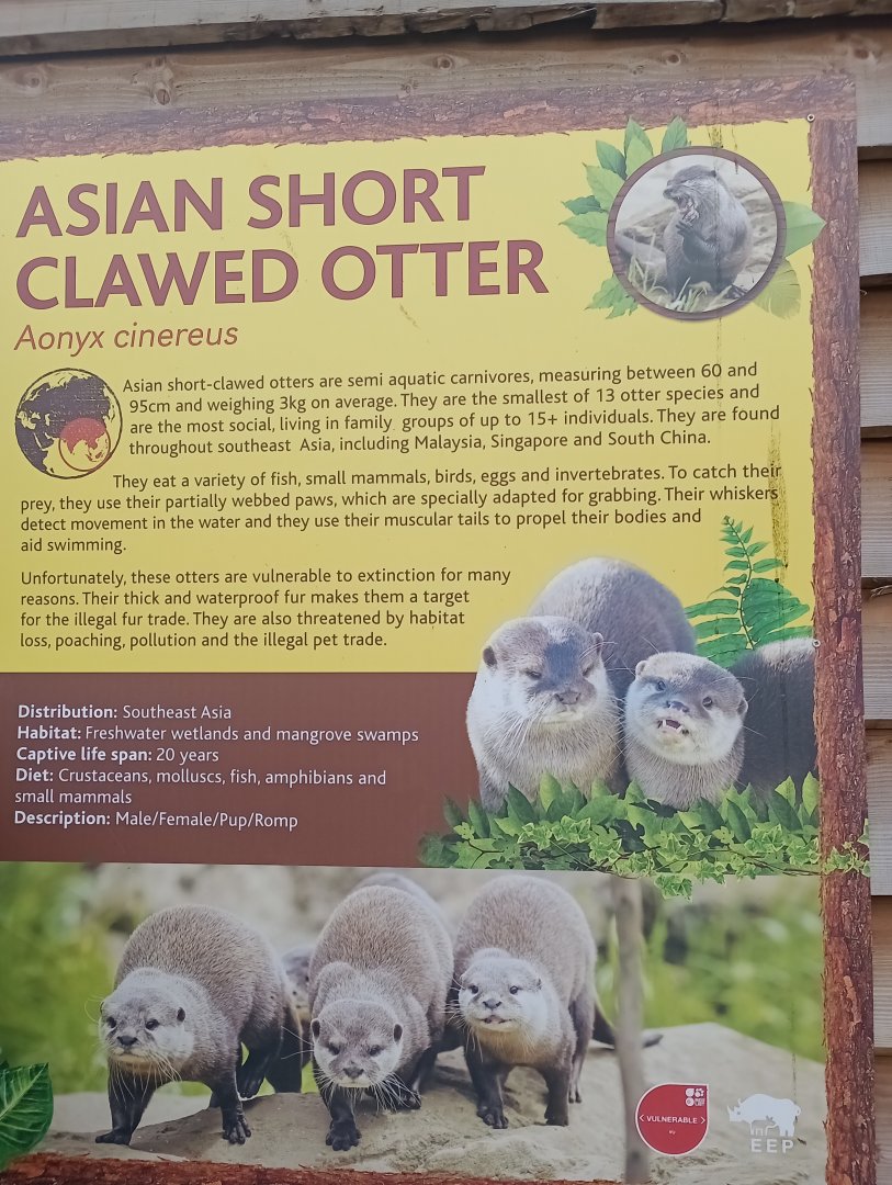 Otter signage
