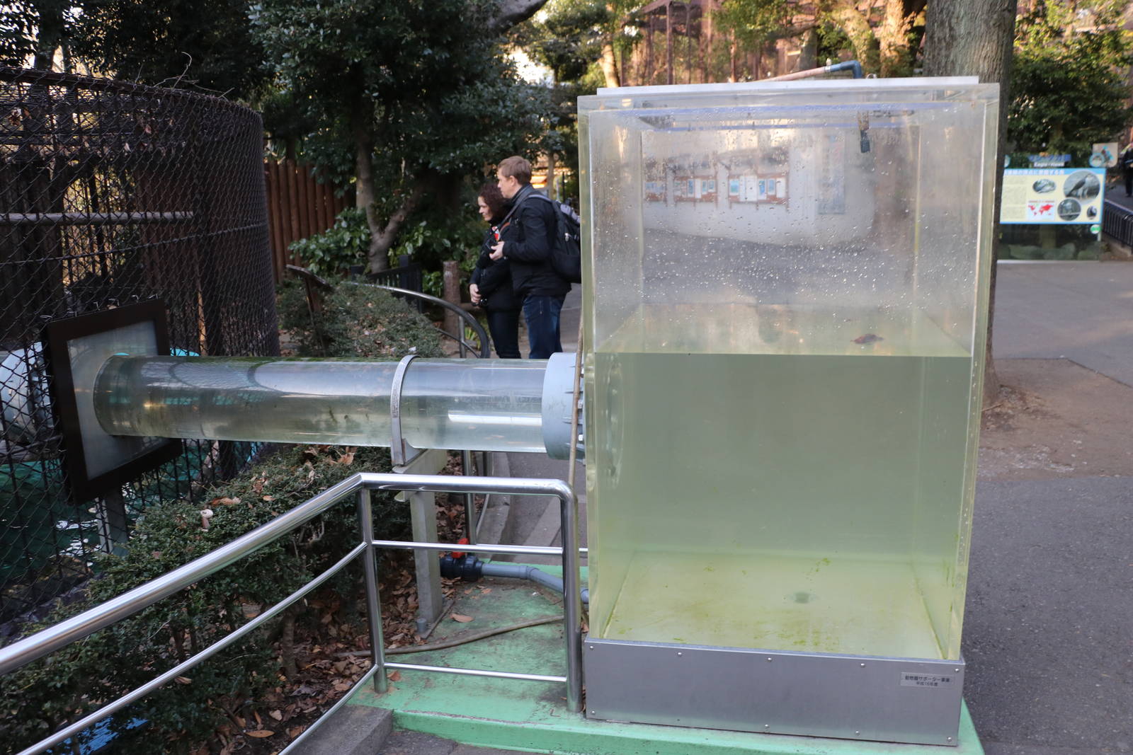 Otter tube, February 2016