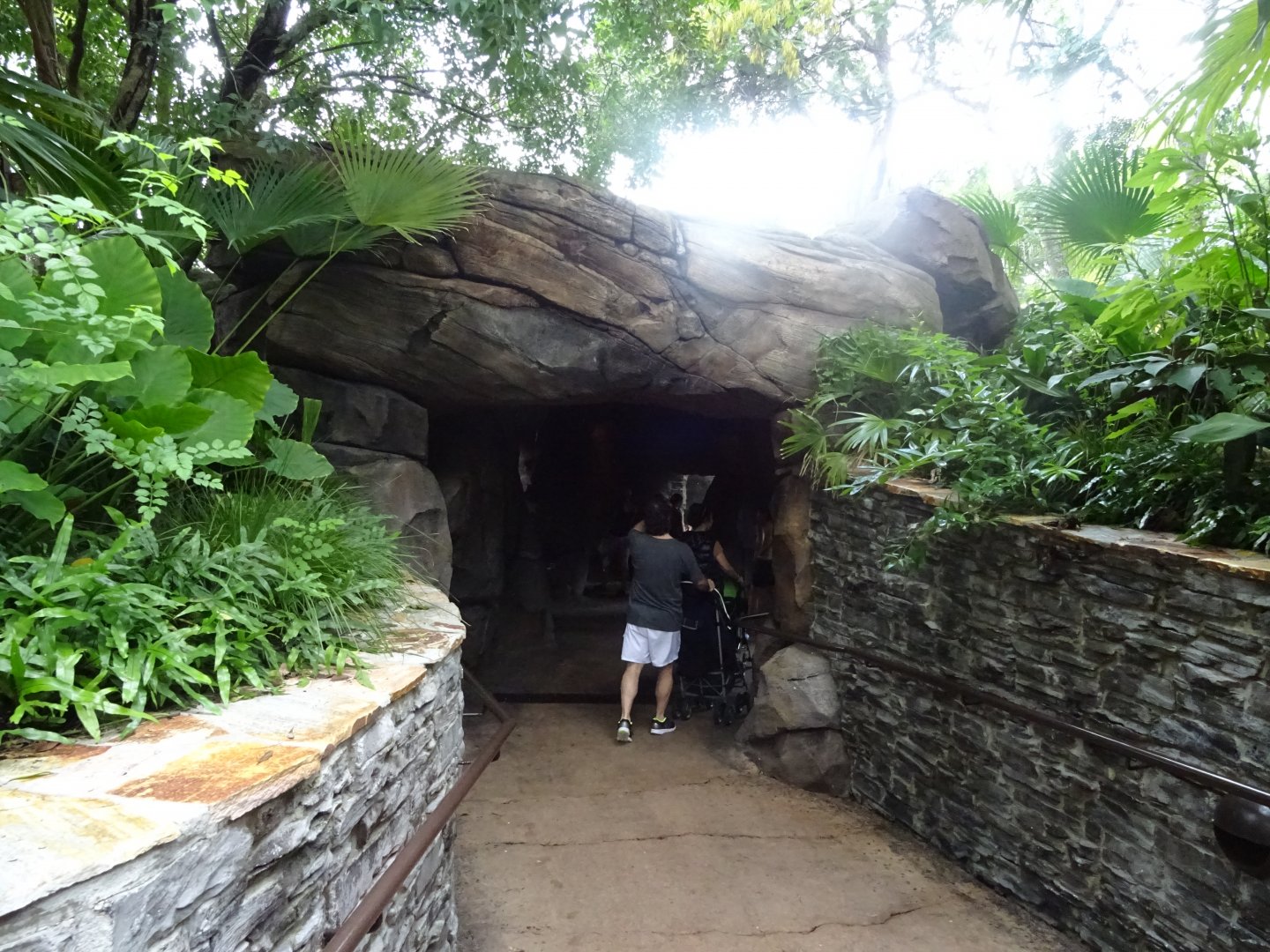 Otter Underwater Viewing Area at Disney's Animal Kingdom (2014)