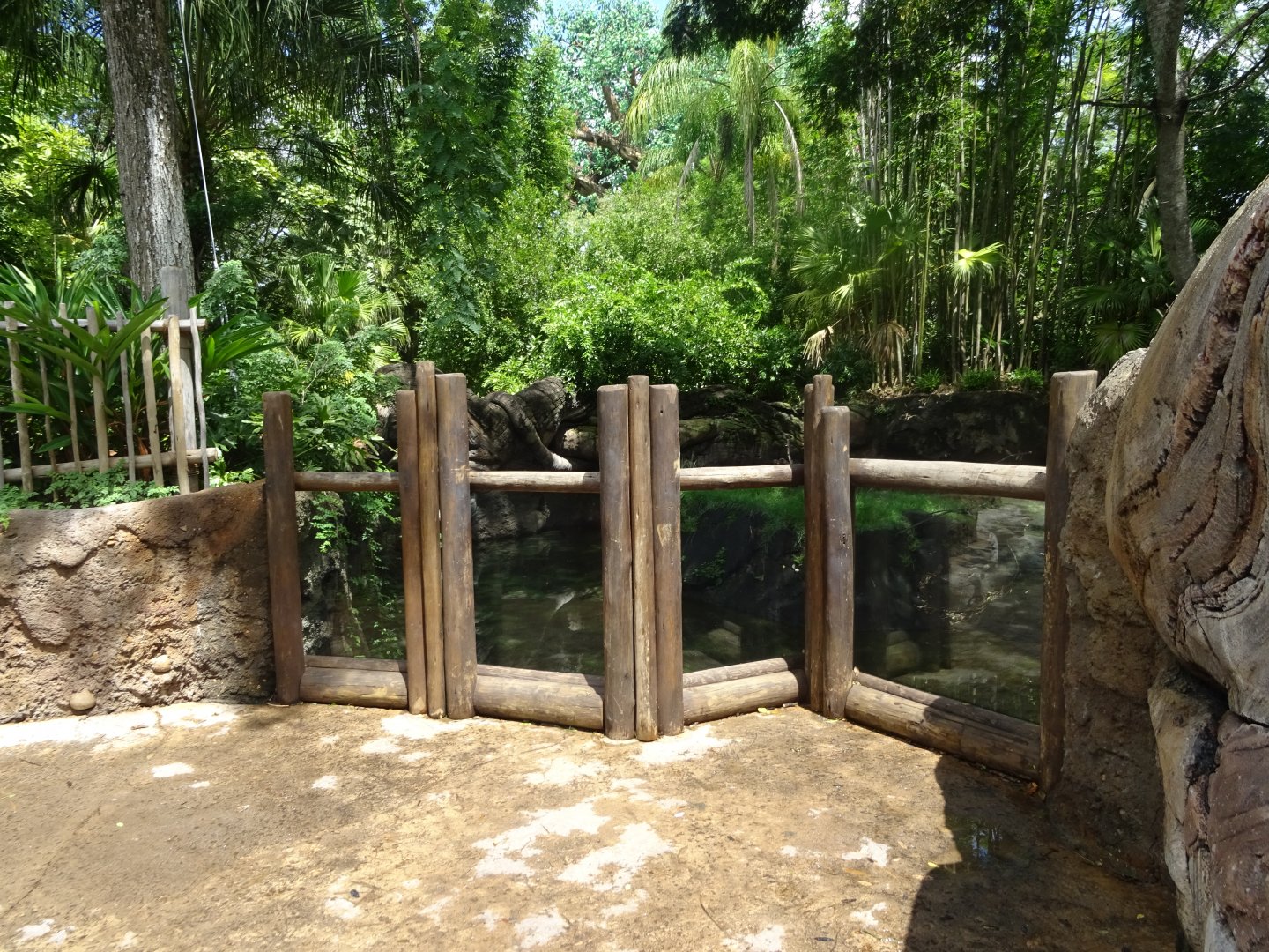 Otter Viewing Area at Disney's Animal Kingdom (2014)