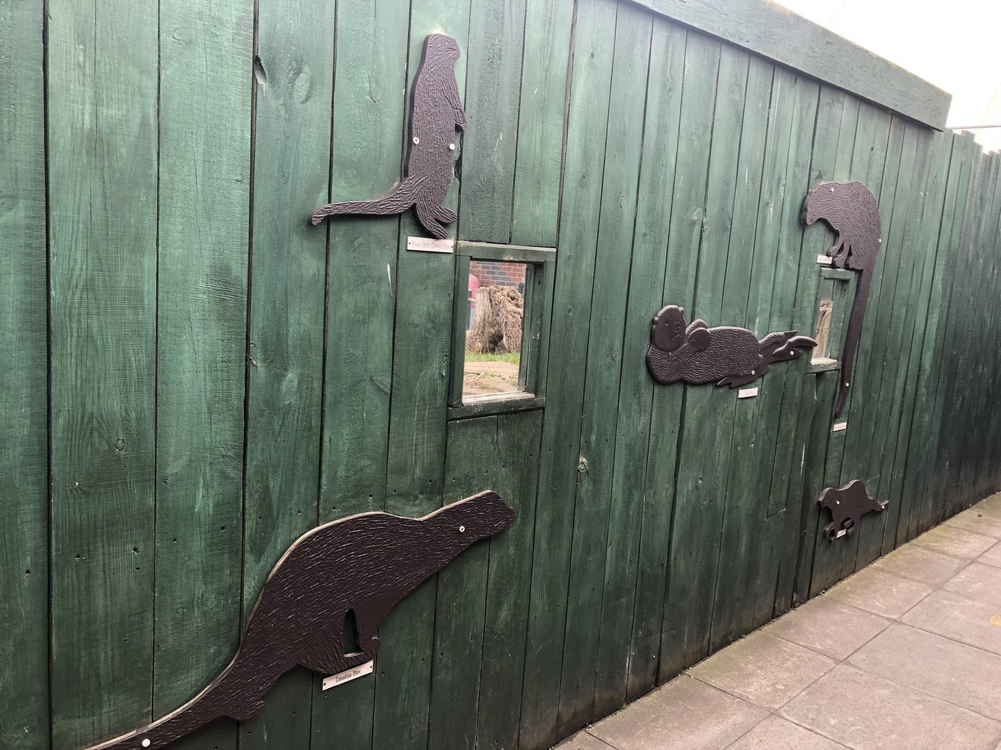 Otter Viewing Area at SEA LIFE Scarborough (September 2022)