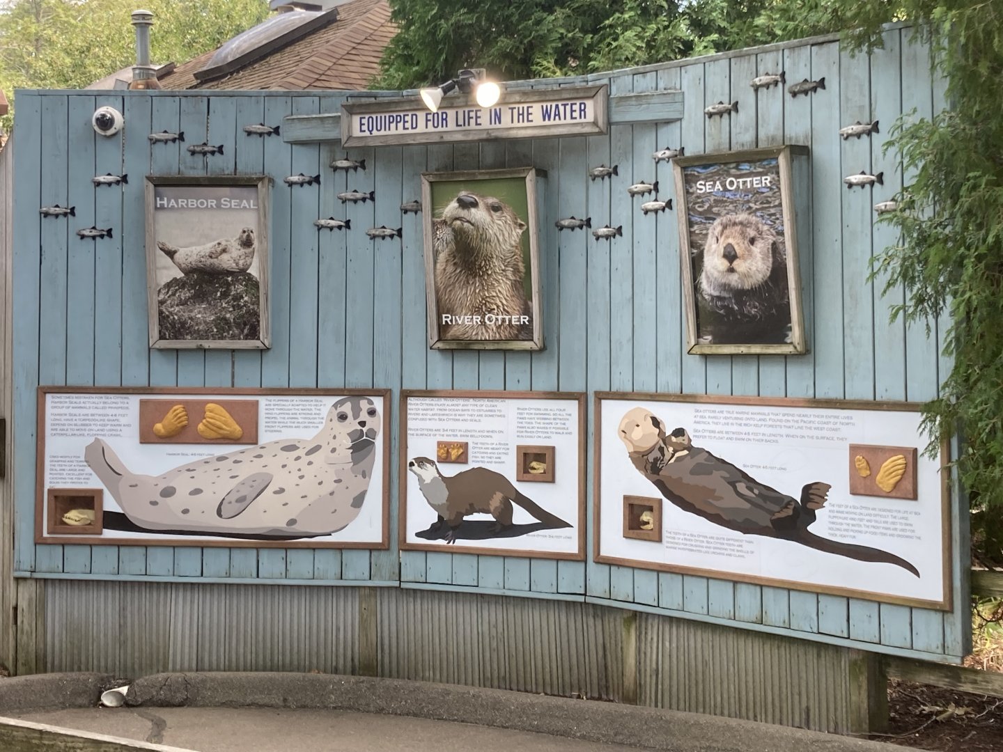 Otter vs Seal signage
