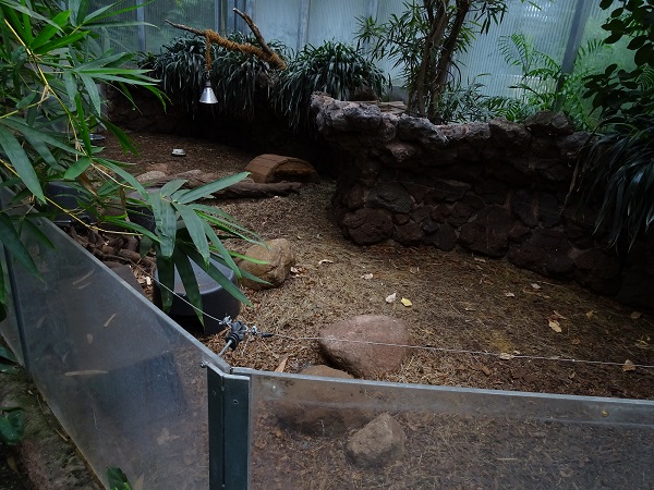 Otterhaus - armadillo enclosure (07/22)