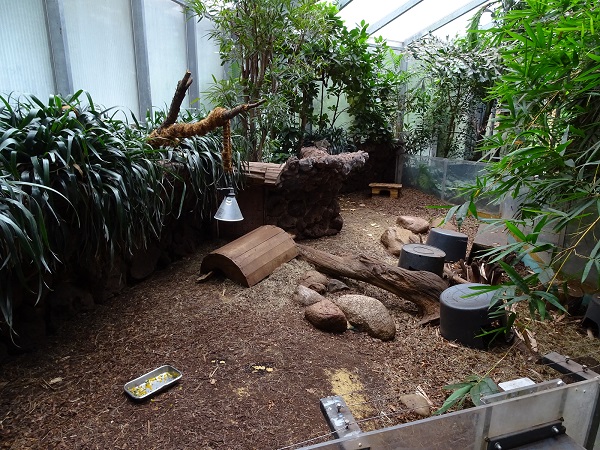 Otterhaus - armadillo enclosure (07/22)