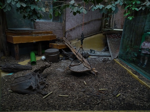 Otterhaus - enclosure for small-clawed otters (07/22)