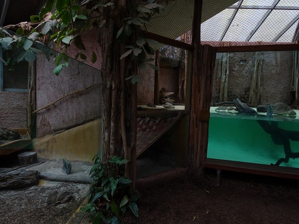 Otterhaus - enclosure for small-clawed otters (07/22)