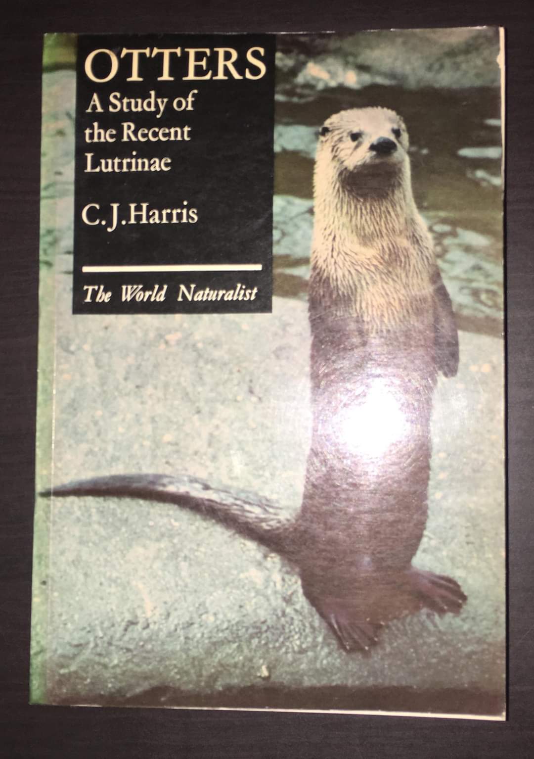 Otters: A Study of the Recent Lutrinae